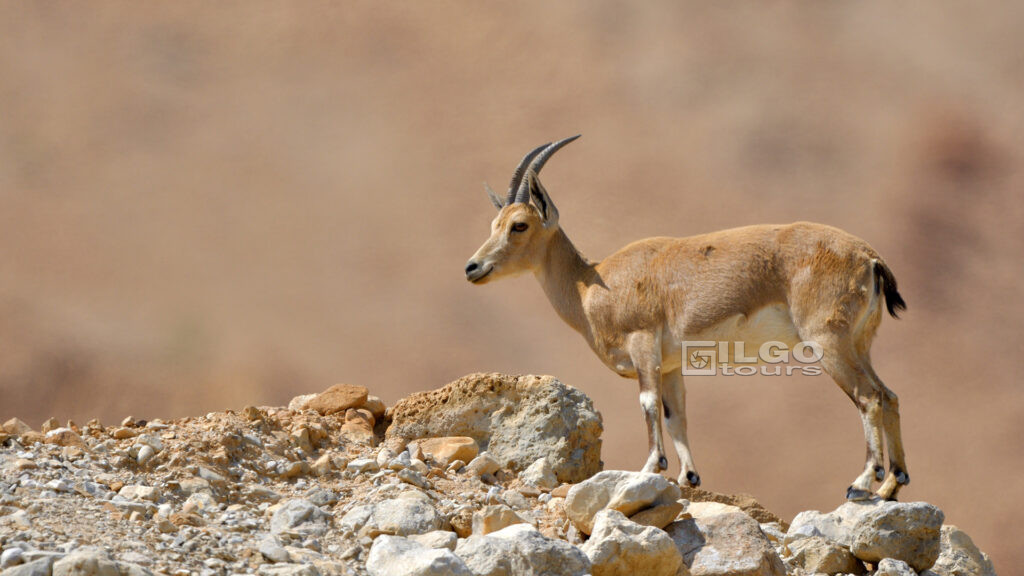 photo tours europe