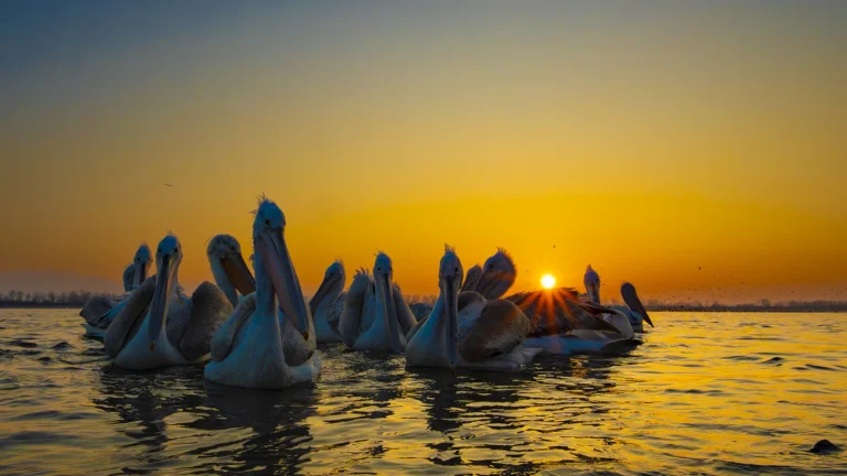 photo tours europe