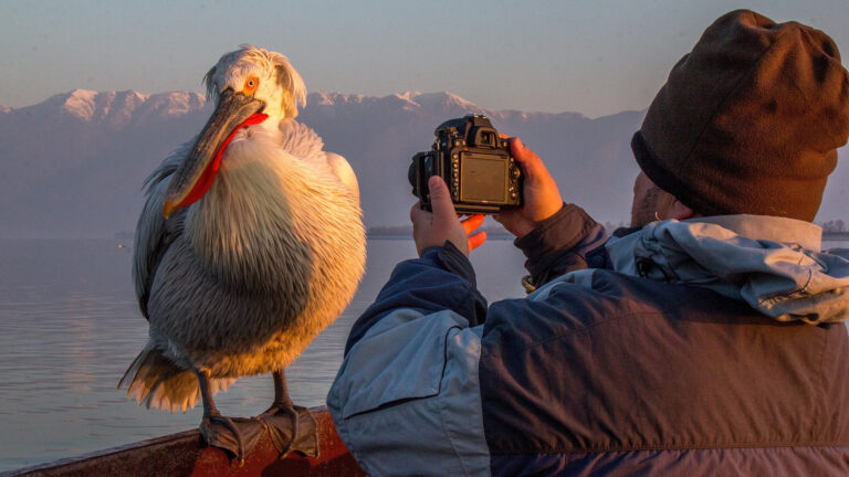 photo tours europe