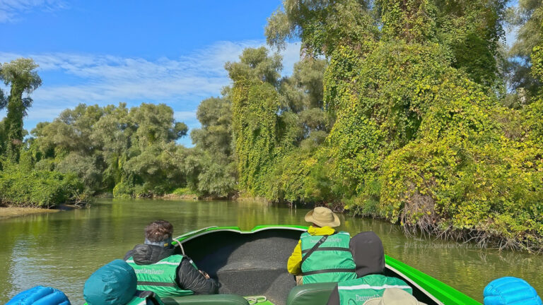 Boat tour to Danube Delta