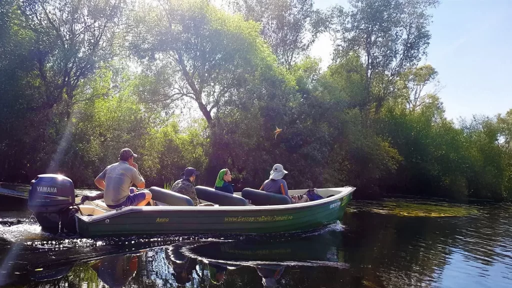 How Things Really Work in the Danube Delta