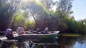 guided boat trip to Danube Delta