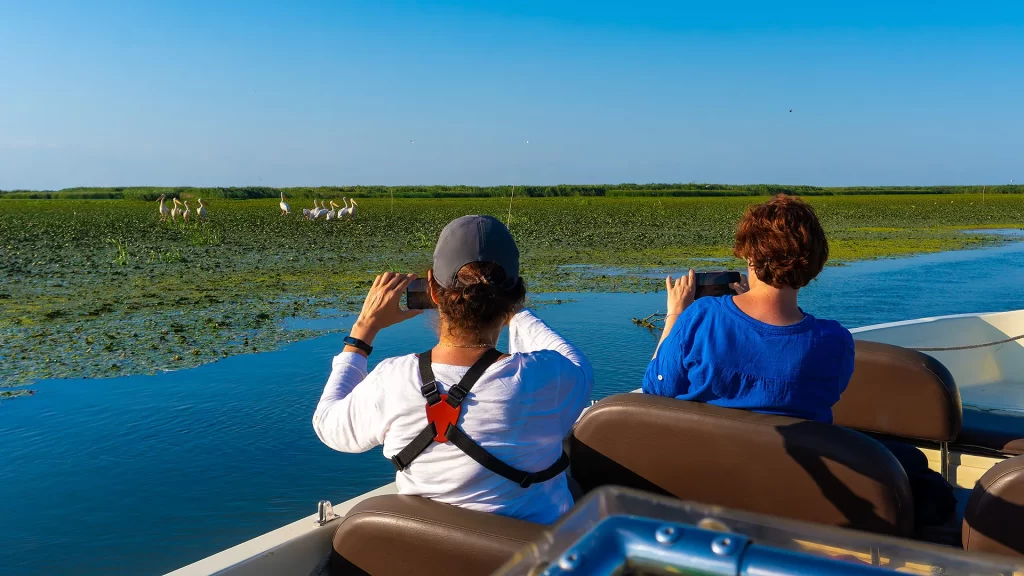 Private tourists taking pictures to Pelicans